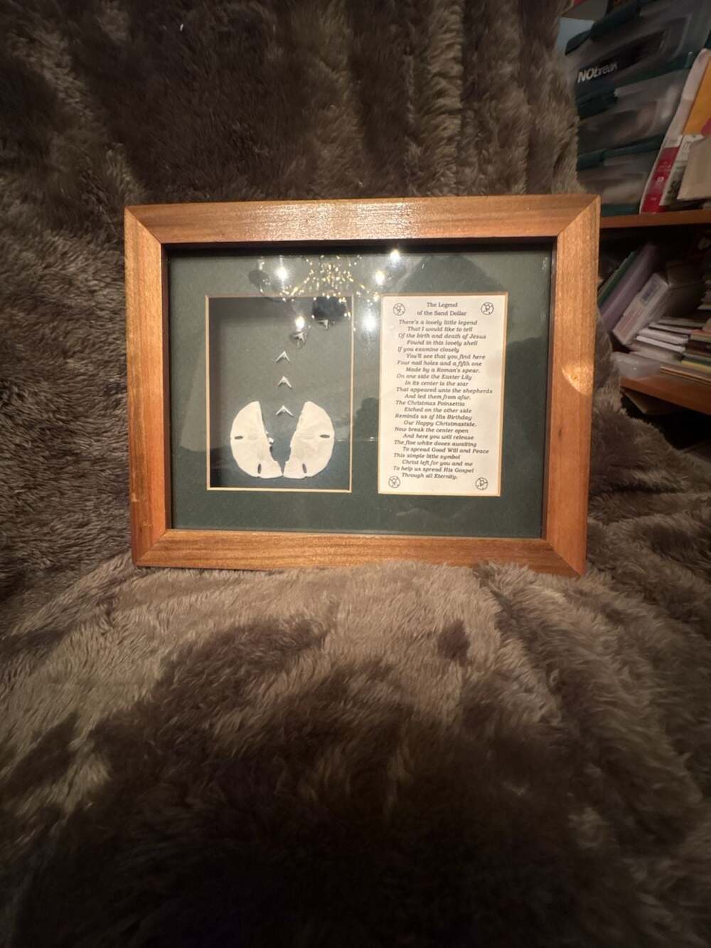 Vintage Legend Of The Sand Dollar Shadow Box Framed Doves Of Peace Art
